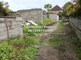 Dijual Tanah Murah Luas 300 m2 View Sawah di Penestanan Ubud