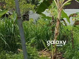 TANAH SIAP BANGUN DI WIJAYA KESUMA SABA BLAHBATUH GIANYAR, BALI