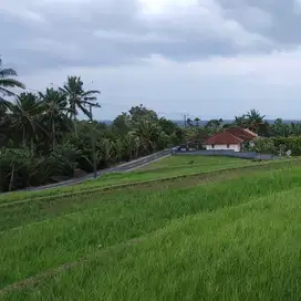 Tanah murah di dekat pantai balian beach