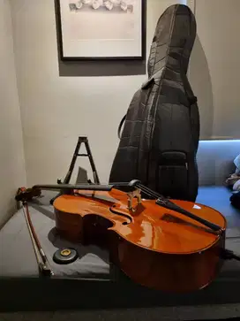 Cello 4/4 Pearl River, bow, stoper, stand, mute rubber, soft case