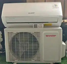 AC Sharp ucy 1 PK