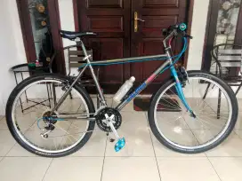 Raleigh usa size 19