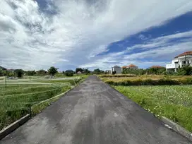 Dikontrakkan Tanah 21,8 Are Rice Fields View Di Jalan Sedap Malam