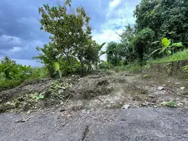 Tanah Balecatur Jogja, Murah Dekat Pasar Balecatur