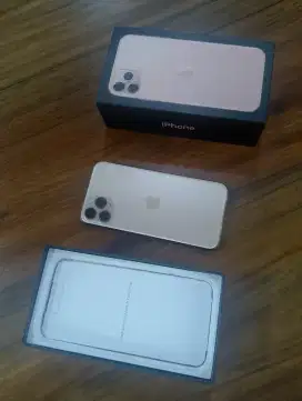 Iphone 11 pro 256gb omset baru