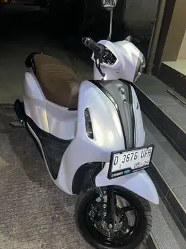 Fillano putih mutiara 2024