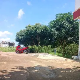 Tanah kampung murah Lokasi Mangunsari Gunungpati UNNES