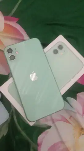 iphone 11 64 inter