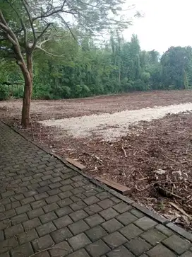 Tanah Kavling Luas Mulai 200m² Lokasi Jl Belimbing Sari Pecatu Invest