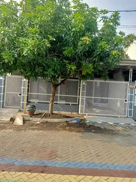 ‼️‼️Rumah Wilayah Wage, Aloha‼️‼️