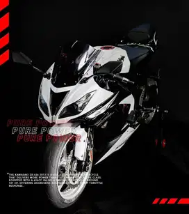 Moge Kawasaki Ninja ZX-636 ZX636 ZX 636 Full Paper