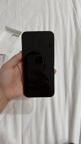 IPHONE 13 PRO MAX 256 GB EX IBOX