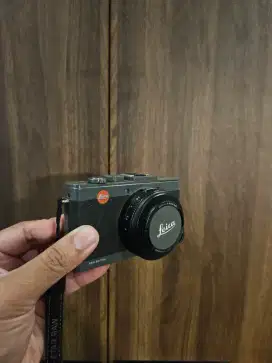 Leica d-lux6 raw edition