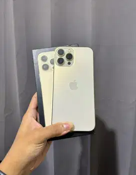 Iphone 13 Pro Max 256Gb iBox Fullset Ori