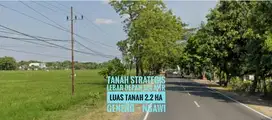 Tanah LD 124 mtr, Jl Raya Propinsi Madiun-NGAWI, Cantik