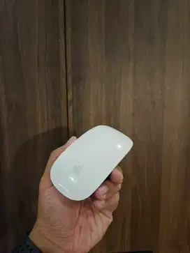 Magic mouse apple white
