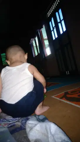 Dicari cepat baby siter