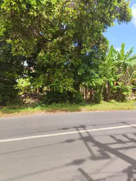 Tanah potensial murah