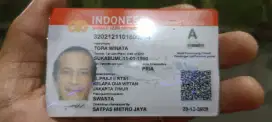 Supir pribadi Exlusif