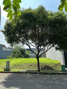 Dijual tanah kavling di Giri Loka BSD Tangsel