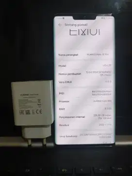 Huawei Mate 30 pro 8/256