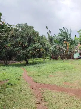 Di Jual Tanah berikut rumah harga bisa negoo