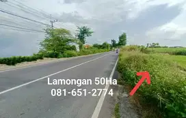 Tanah Industri Lamongan