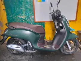 Scoopy Green 2023 Keyles Prestige