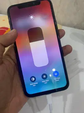 iphone 11 pro 256 beacukai