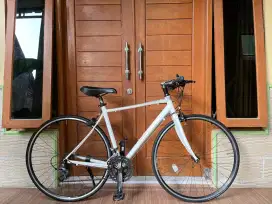 Polygon Helios F10