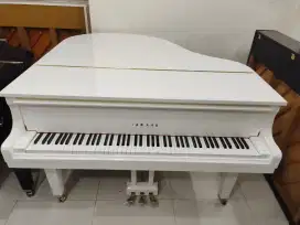Yamaha Beby grand piano GB1K warna putih disklaver bisa main sendiri
