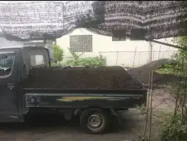 Tanah hitam humus