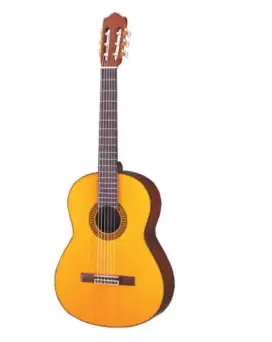 Les Privat Gitar