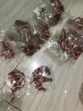 jual cumi asin, teri jengki, rebon asin,
