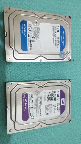 Hardisk WD 1TB Sentinel 100%