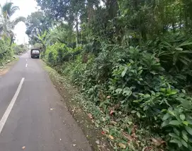 Dijual tanah kebun datar di hook akses jalan