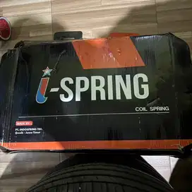 Lower/per I spring Reborn Diesel
