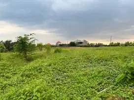 Sebidang tanah kecil view sawah