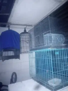 Kandang bekas masih bagus