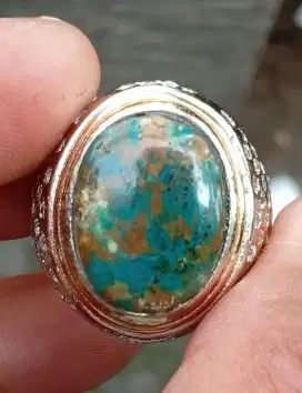 Pirus persia natural lawas deep green