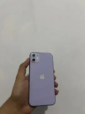 iPhone 11 inter