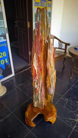 Batu fosil  Langka utk hiasan Boss