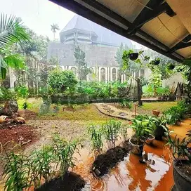Dijual Cepat Rumah Pondok Indah Harga Di Bawah NJOP