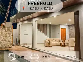 Brand new Freehold Contemporary Villa Design