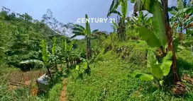 Dijual CEPAT Tanah Potensial Untuk Usaha Di Sukabumi