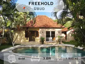 Villa Dengan View Sawah, Hanya 10 Menit Dari Central Ubud