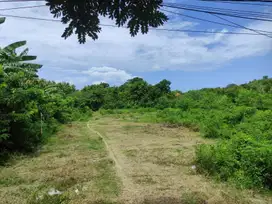 Disewakan Tanah Di Jalan Utama Uluwatu I Jimbaran
