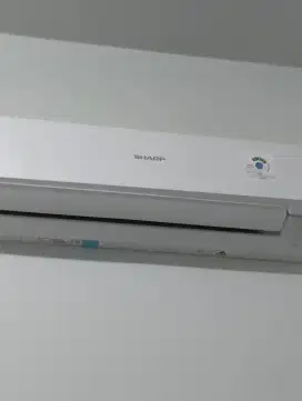 AC Sharp 1/2 PK