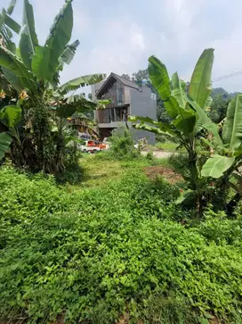 Di Jual Kavling Di Capitol Dago Valley