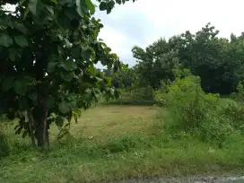 Pekarangan Bagus SHM,Jln Aspal u Perum,Gudang,Pabrik & Sekolah